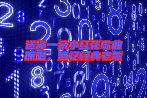 送你一朵小紅花歌曲原唱，回憶經(jīng)典老歌