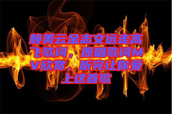 賴美云金志文遠走高飛歌詞，原唱歌詞MV欣賞，聽完讓你愛上這首歌