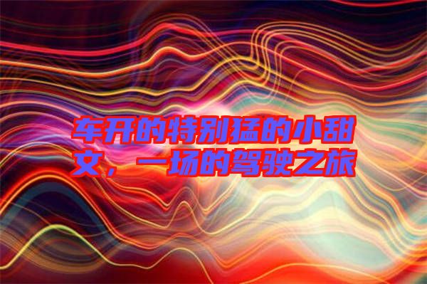 車開的特別猛的小甜文，一場的駕駛之旅