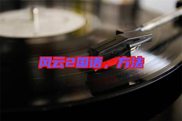 風(fēng)云2國語，方法