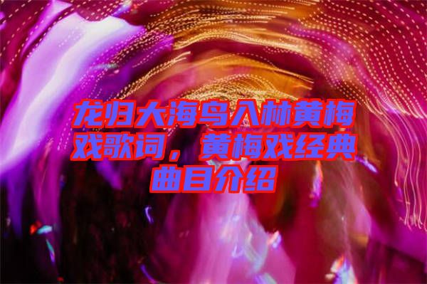 龍歸大海鳥入林黃梅戲歌詞，黃梅戲經(jīng)典曲目介紹