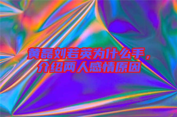 黃磊劉若英為什么手，介紹兩人感情原因