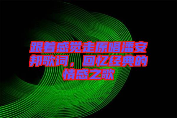 跟著感覺走原唱潘安邦歌詞，回憶經(jīng)典的情感之歌
