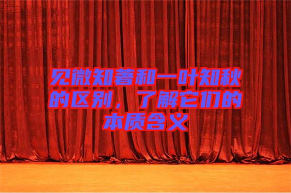 見(jiàn)微知著和一葉知秋的區(qū)別，了解它們的本質(zhì)含義