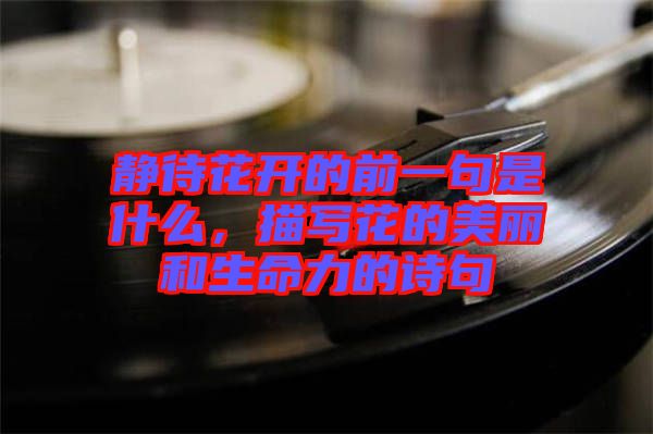 靜待花開(kāi)的前一句是什么，描寫(xiě)花的美麗和生命力的詩(shī)句