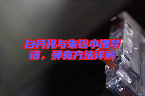 白月光與朱砂小提琴譜，彈奏方法詳解