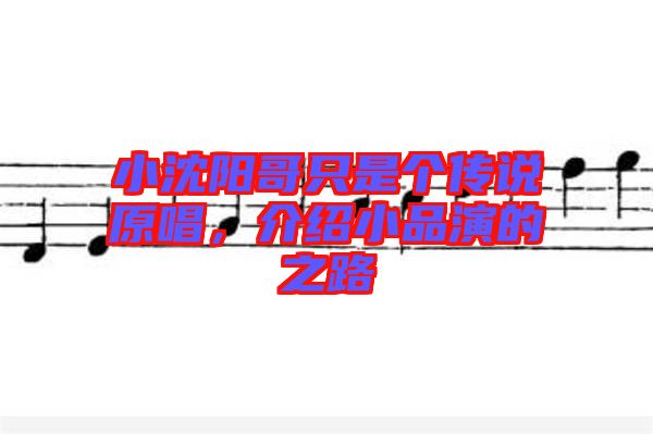 小沈陽哥只是個傳說原唱，介紹小品演的之路