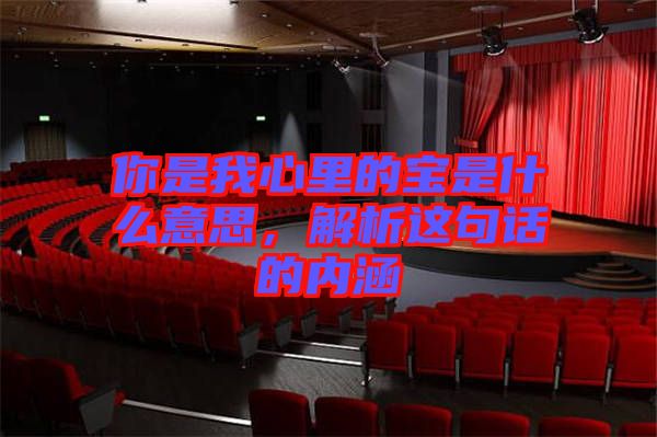 你是我心里的寶是什么意思，解析這句話的內(nèi)涵