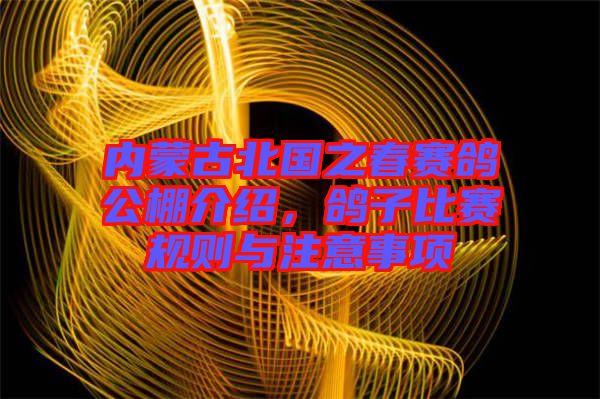 內(nèi)蒙古北國(guó)之春賽鴿公棚介紹，鴿子比賽規(guī)則與注意事項(xiàng)