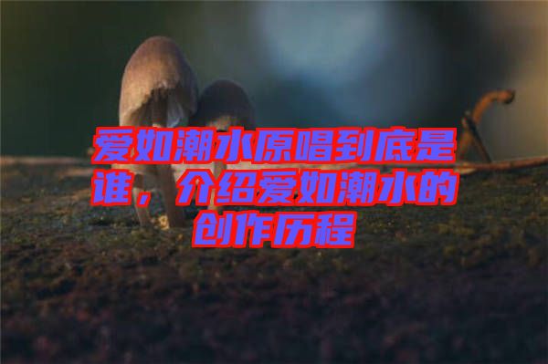 愛如潮水原唱到底是誰，介紹愛如潮水的創(chuàng)作歷程