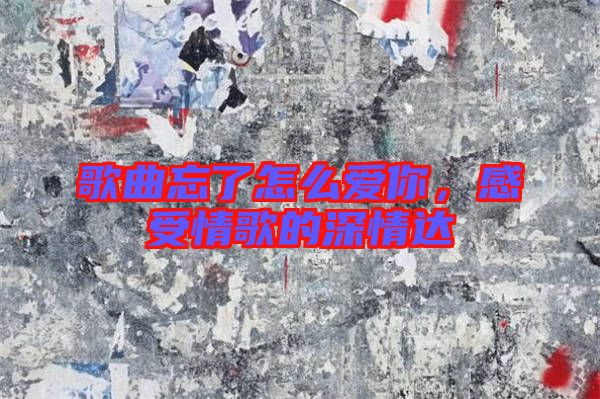 歌曲忘了怎么愛你，感受情歌的深情達