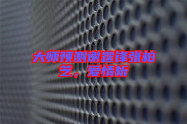 大師預(yù)測謝霆鋒張柏芝，愛情析