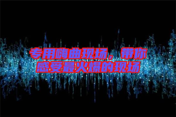 專用嗨曲現(xiàn)場(chǎng)，帶你感受最火爆的現(xiàn)場(chǎng)