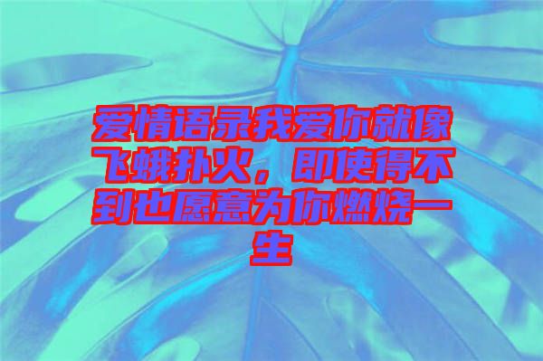 愛情語錄我愛你就像飛蛾撲火，即使得不到也愿意為你燃燒一生