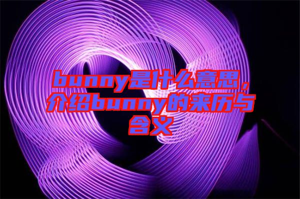 bunny是什么意思，介紹bunny的來歷與含義