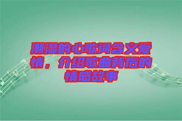潮濕的心歌詞含義愛情，介紹歌曲背后的情感故事