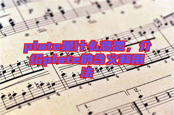 plate是什么意思，介紹plate的含義和用法
