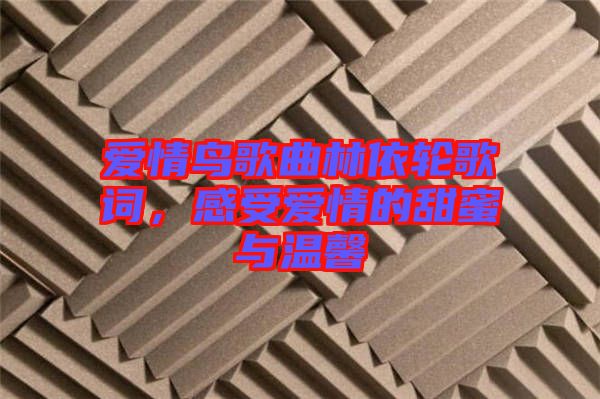 愛情鳥歌曲林依輪歌詞，感受愛情的甜蜜與溫馨