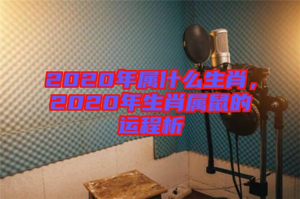 2020年屬什么生肖，2020年生肖屬鼠的運程析
