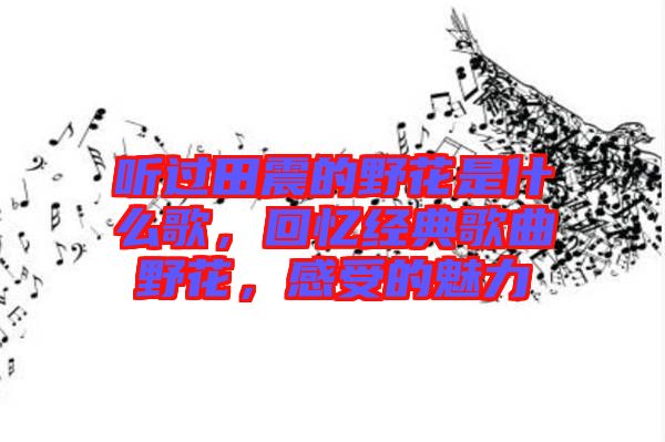 聽過田震的野花是什么歌，回憶經(jīng)典歌曲野花，感受的魅力