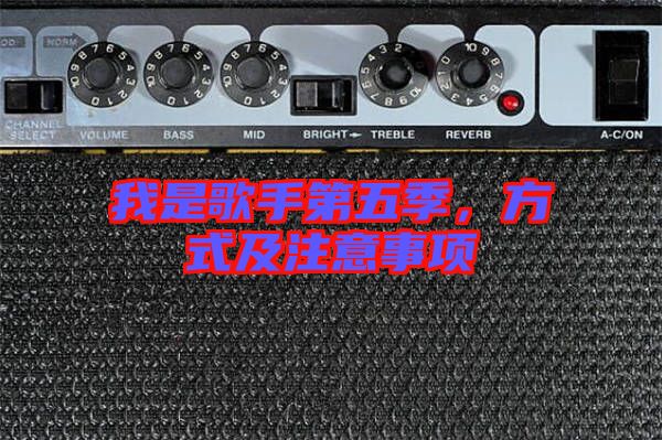 我是歌手第五季，方式及注意事項(xiàng)