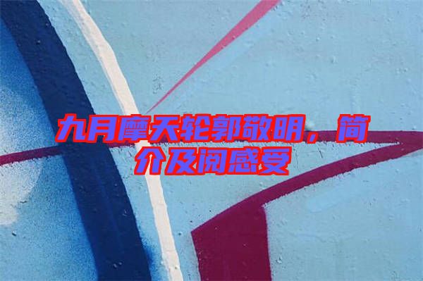 九月摩天輪郭敬明，簡(jiǎn)介及閱感受