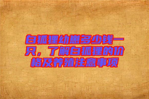 白狐貍幼崽多少錢一只，了解白狐貍的價格及養(yǎng)殖注意事項