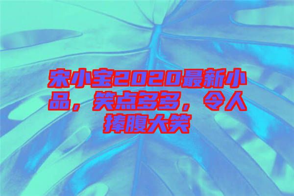 宋小寶2020最新小品，笑點多多，令人捧腹大笑