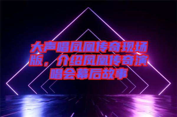 大聲唱鳳凰傳奇現(xiàn)場(chǎng)版，介紹鳳凰傳奇演唱會(huì)幕后故事