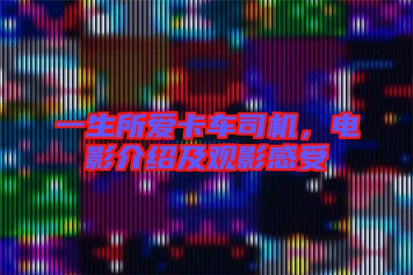 一生所愛卡車司機，電影介紹及觀影感受