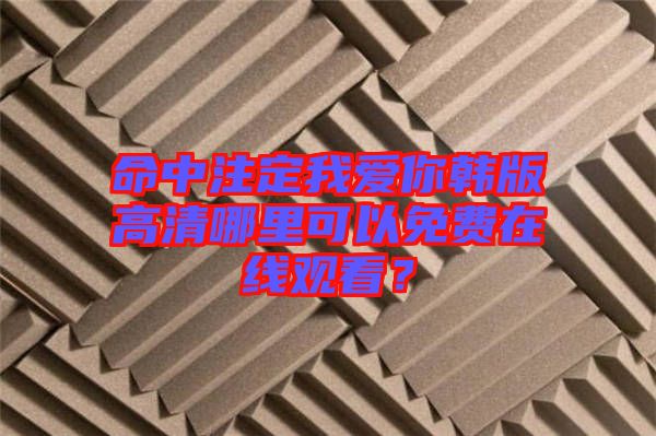命中注定我愛你韓版高清哪里可以免費在線觀看？