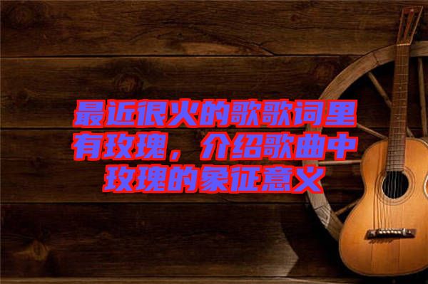 最近很火的歌歌詞里有玫瑰，介紹歌曲中玫瑰的象征意義