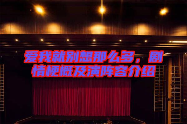 愛我就別想那么多，劇情梗概及演陣容介紹