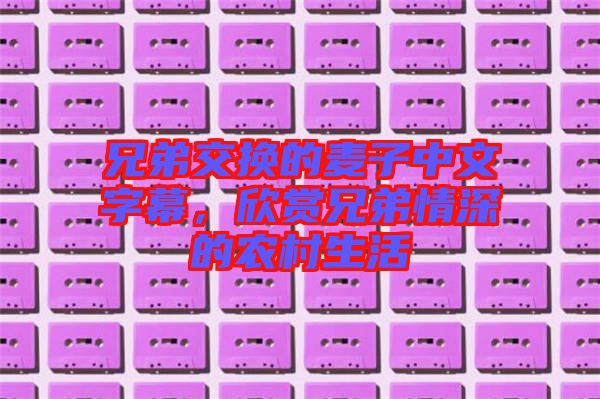 兄弟交換的麥子中文字幕，欣賞兄弟情深的農(nóng)村生活