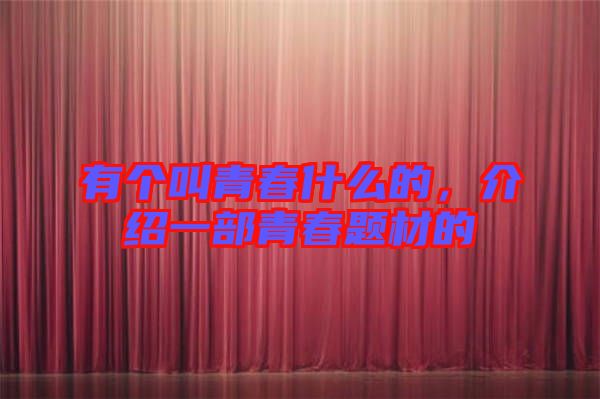 有個叫青春什么的，介紹一部青春題材的