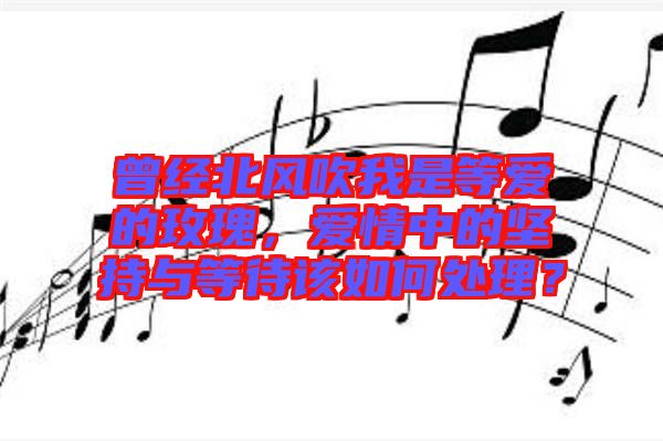 曾經(jīng)北風吹我是等愛的玫瑰，愛情中的堅持與等待該如何處理？