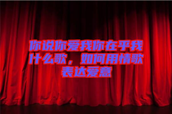 你說你愛我你在乎我什么歌，如何用情歌表達(dá)愛意