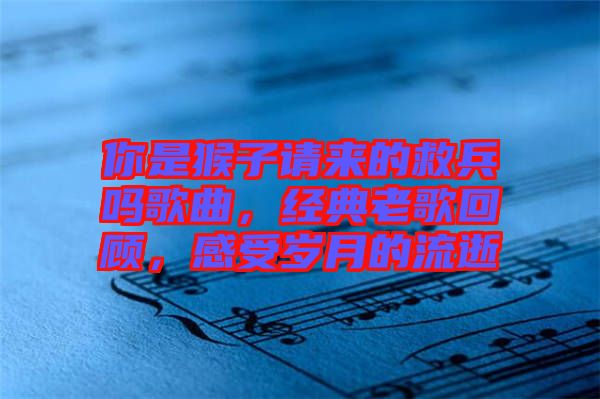 你是猴子請來的救兵嗎歌曲，經(jīng)典老歌回顧，感受歲月的流逝