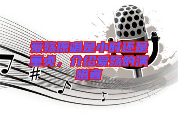 愛殤原唱是小時還是董貞，介紹愛殤的演唱者