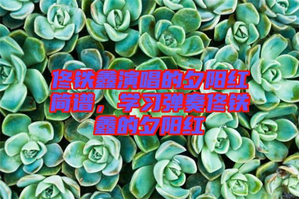 佟鐵鑫演唱的夕陽(yáng)紅簡(jiǎn)譜，學(xué)習(xí)彈奏佟鐵鑫的夕陽(yáng)紅