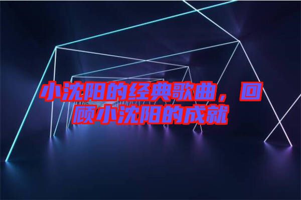小沈陽的經(jīng)典歌曲，回顧小沈陽的成就