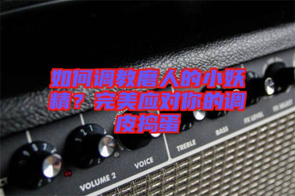 如何調(diào)教磨人的小妖精？完美應(yīng)對(duì)你的調(diào)皮搗蛋