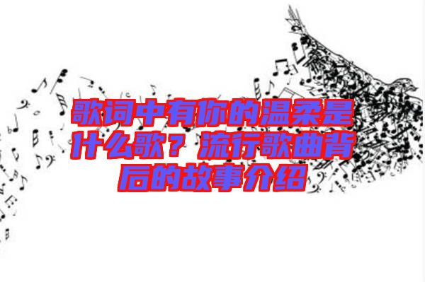 歌詞中有你的溫柔是什么歌？流行歌曲背后的故事介紹