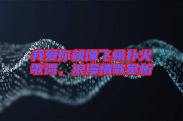 我愛(ài)你就像飛蛾撲火歌詞，浪漫情歌賞析