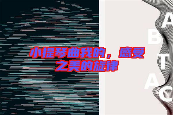 小提琴曲我的，感受之美的旋律