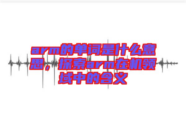 arm的單詞是什么意思，探索arm在機領域中的含義