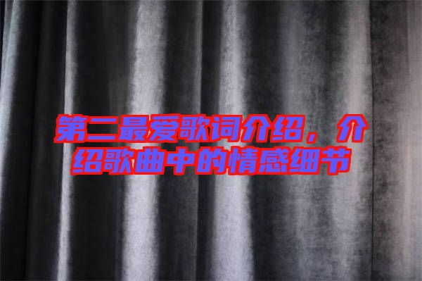 第二最愛(ài)歌詞介紹，介紹歌曲中的情感細(xì)節(jié)