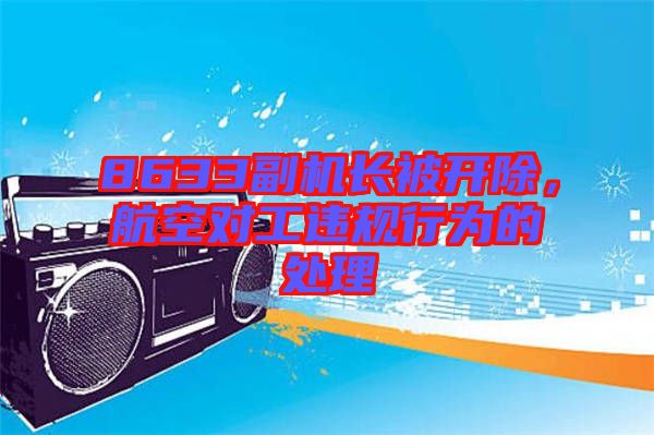8633副機(jī)長(zhǎng)被開(kāi)除，航空對(duì)工違規(guī)行為的處理