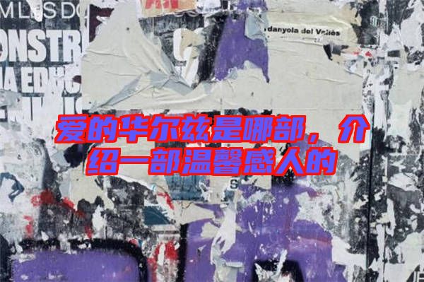 愛(ài)的華爾茲是哪部，介紹一部溫馨感人的