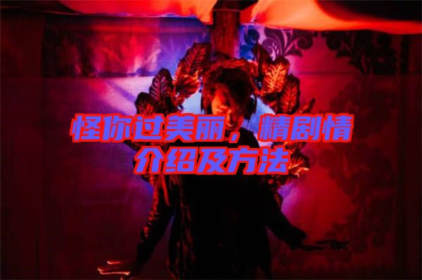 怪你過美麗，精劇情介紹及方法